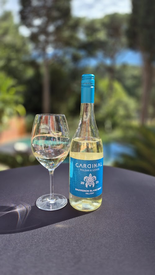Sauvignon Blanc Habzóbor 2023